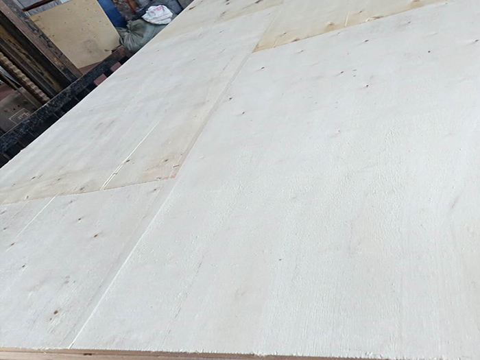 杨木包装箱板